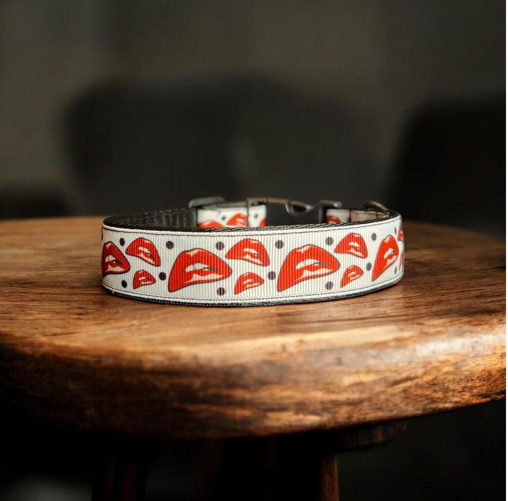 Rocky Horror Picture Show Inspired Dog Collar – Handmade 1 Inch Wide – Cult Classic Pet Gear