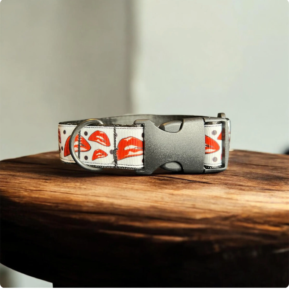 Rocky Horror Picture Show Inspired Dog Collar – Handmade 1 Inch Wide – Cult Classic Pet Gear